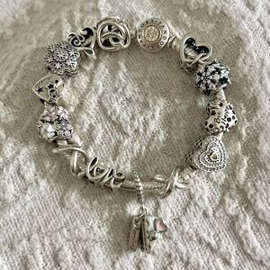 Pandora Charm Bundle